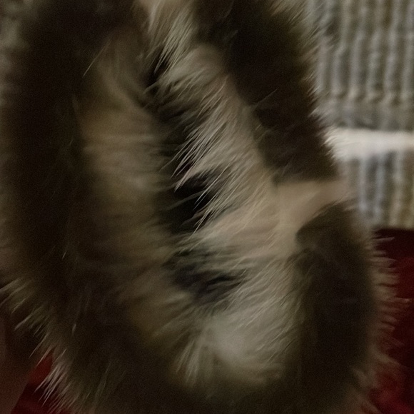 Brand new Faux fur gazelle style jacket - Picture 5 of 8